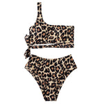 High Waist Leopard Two Piece