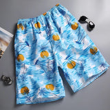 Quick Dry Surf Shorts