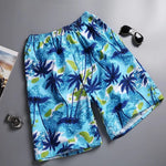 Quick Dry Surf Shorts